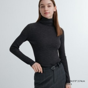Chandails Uniqlo Extra Fine Merino Ribbed Turtleneck Long-Sleeve Femme Grise | 934172