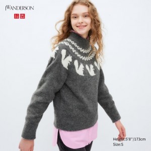 Chandails Uniqlo Jacquard Crew Neck Long-Sleeve Femme Grise | 2418843