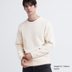Chandails Uniqlo Premium Lambswool Crew Neck Long Sleeve Homme Blanche | 9114178