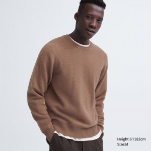 Chandails Uniqlo Premium Lambswool Crew Neck Long Sleeve Homme Marron | 2504535