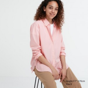 Chemises Uniqlo Cotton Long-Sleeve Femme Rose | 5803163