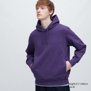 Sweat a Capuche Uniqlo Sweat Pullover Long-sleeve Homme Violette | 350458