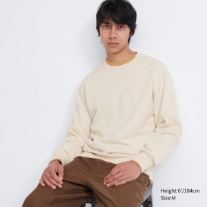 Sweats Uniqlo Elegant Homme Beige | 7173499