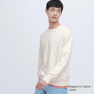 Sweats Uniqlo Elegant Homme Blanche | 4100517