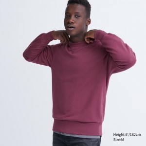 Sweats Uniqlo Long Femme Violette | 7859115