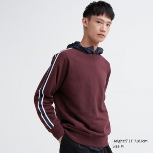 Sweats Uniqlo Side-stripe Homme Bordeaux | 7744161