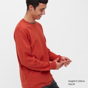T Shirts Uniqlo Brushed Cotton Crew Neck Long-sleeve Homme Rouge | 3986669