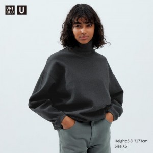 T Shirts Uniqlo Brushed Jersey Turtleneck Long-Sleeve Femme Grise | 1499907