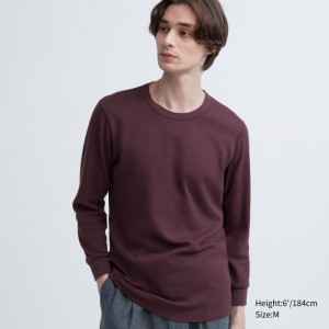 T Shirts Uniqlo Heattech Cotton Waffle Crew Neck Extra Warm Homme Bordeaux | 5585522