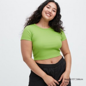 T Shirts Uniqlo Ribbed Crew Neck Short-Sleeve Cropped Femme Vert | 2656955
