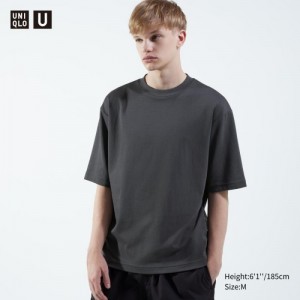T Shirts Uniqlo U AIRism Cotton Oversized Crew Neck Half-Sleeve Femme Grise | 8462340