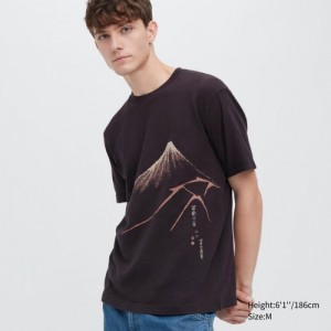 T Shirts Uniqlo Ukiyo-e UT Short-Sleeve Femme Marron | 3551427