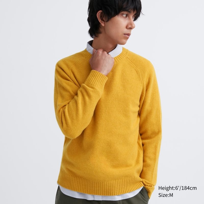 Chandails Uniqlo Premium Lambswool Crew Neck Long Sleeve Homme Jaune | 7145859