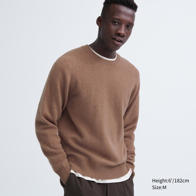Chandails Uniqlo Premium Lambswool Crew Neck Long Sleeve Homme Marron | 2504535