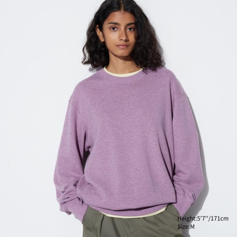 Sweats Uniqlo Long Femme Violette | 7859115
