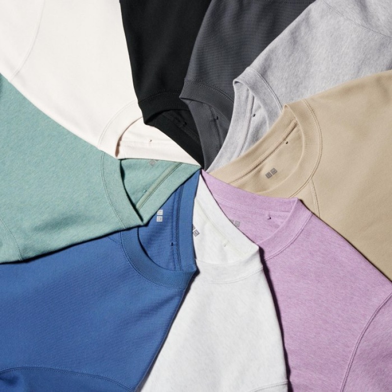 Sweats Uniqlo Long Femme Violette | 7859115