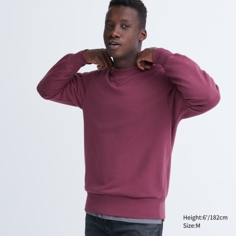 Sweats Uniqlo Long Femme Violette | 7859115