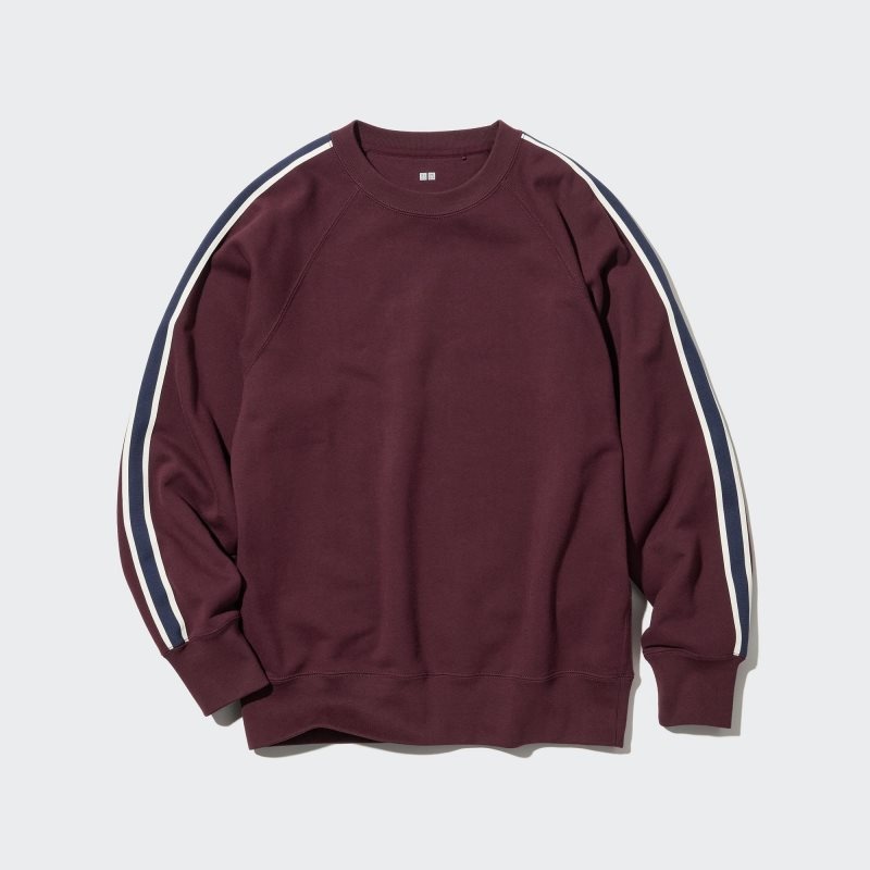 Sweats Uniqlo Side-stripe Homme Bordeaux | 7744161