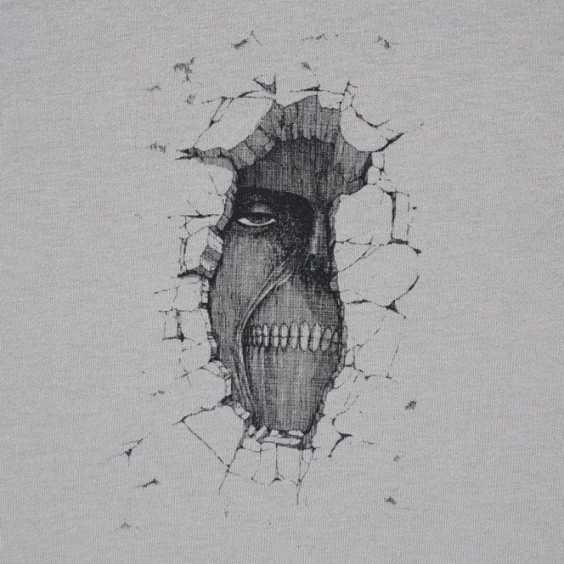 T Shirts Uniqlo Attack on Titan UT Short-Sleeve A Titan Inside The Wall Femme Grise | 500338