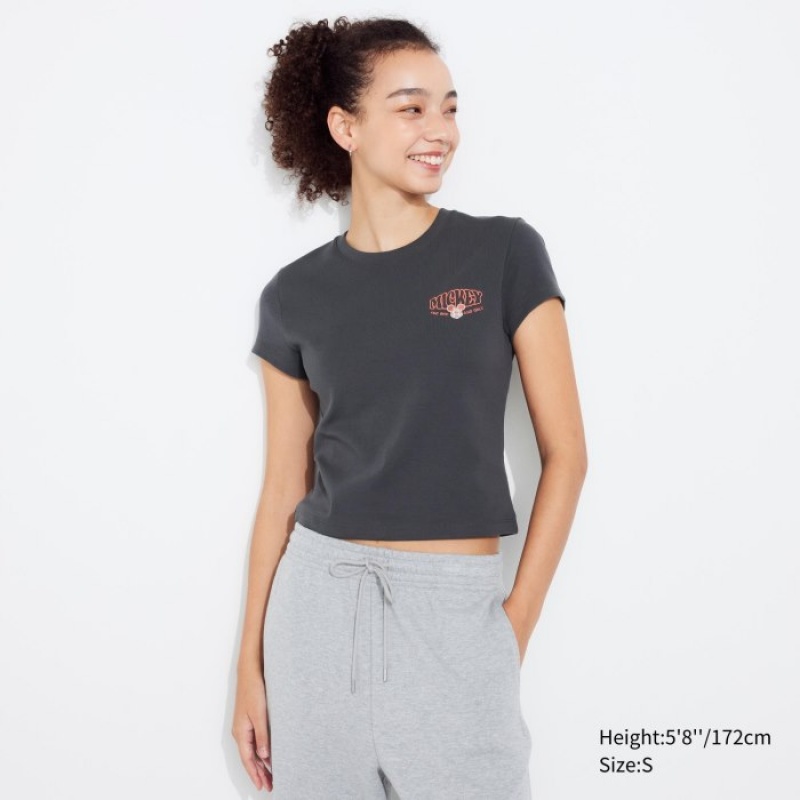 T Shirts Uniqlo Collection UT Short-Sleeve Femme Grise | 7758051
