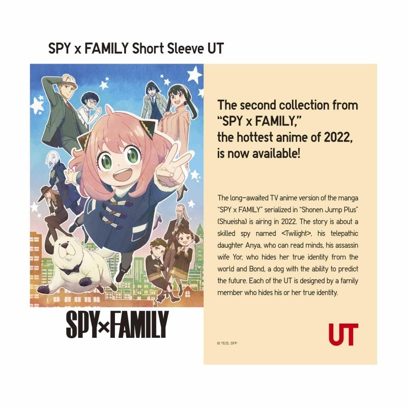 T Shirts Uniqlo Spy X Family Ut Short-sleeve Graphic Homme Grise | 2658972