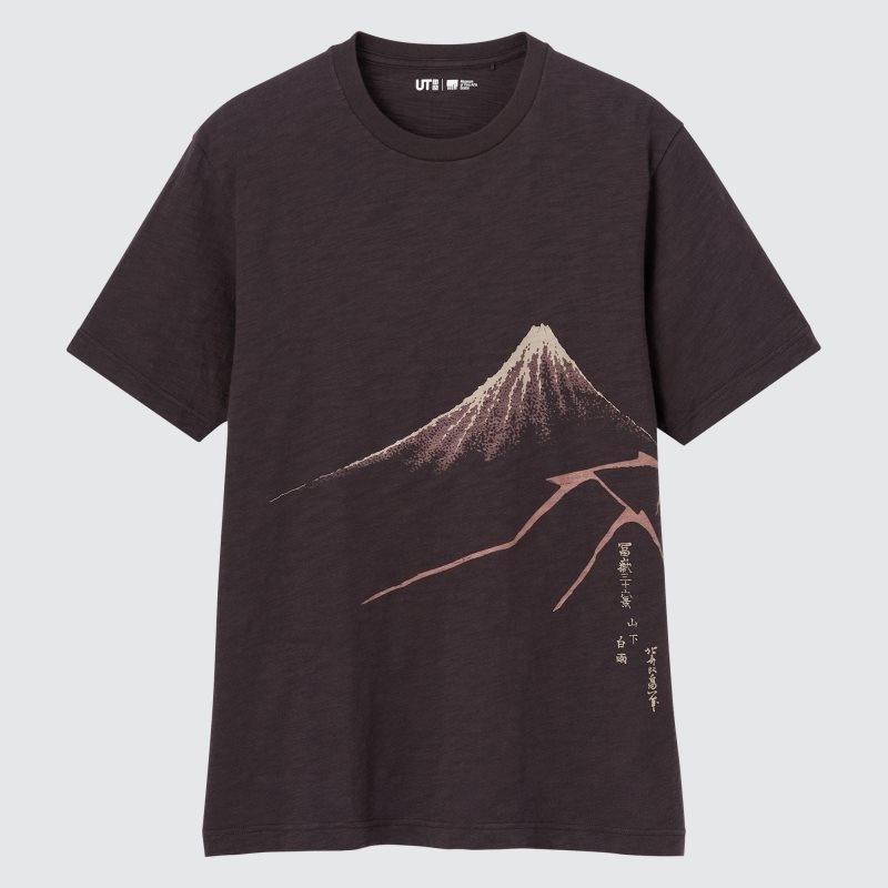 T Shirts Uniqlo Ukiyo-e Ut Short-sleeve Graphic Homme Chocolat | 7321172